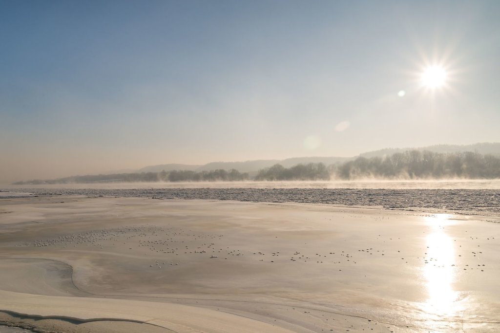 Frosty morning