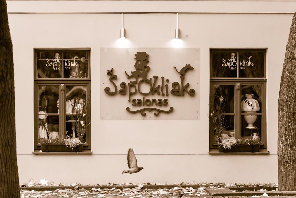 Šapokliak
