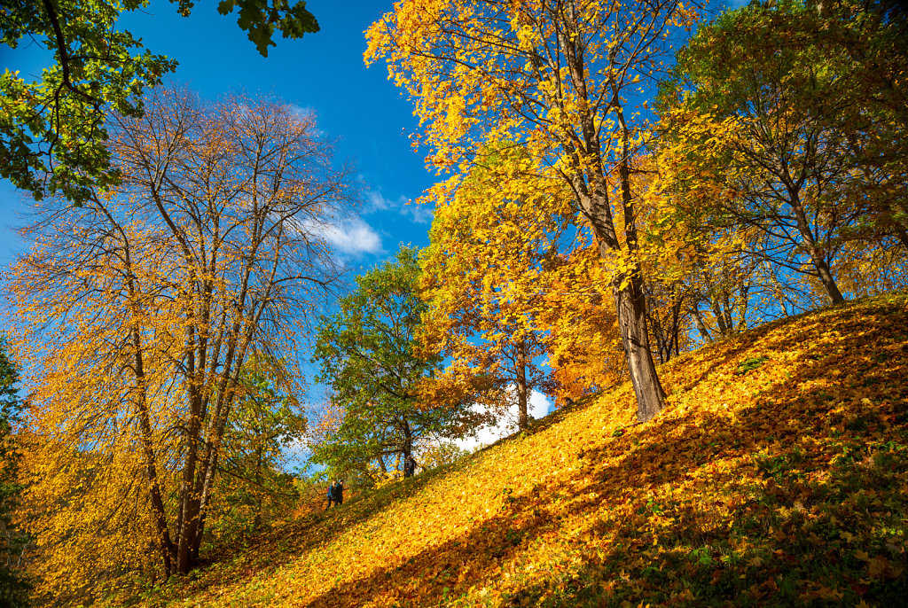 DSC-1745-HDR.jpg
