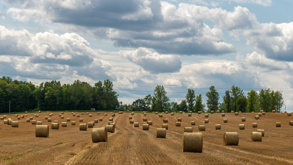 DSC-9410-HDR.jpg