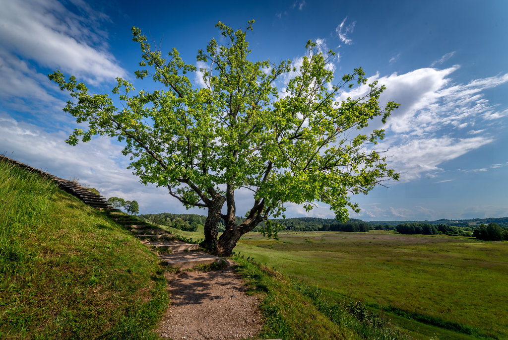 DSC-9494-HDR.jpg